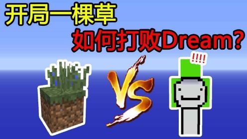 我的世界：开局一棵草，如何打败Dream？