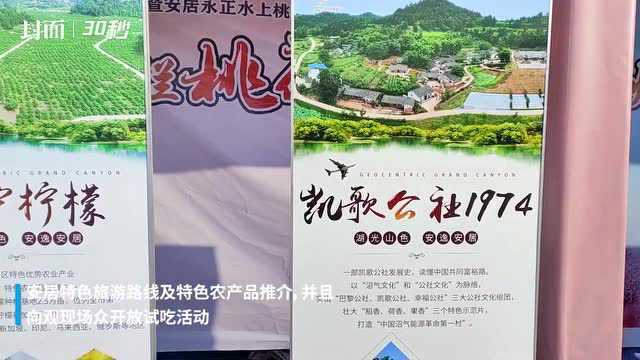 四川遂宁安居牵手重庆潼南:发布精品旅游线路,共建“川渝粮仓”