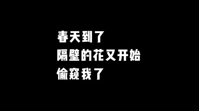 春天到了,隔壁的花又开始偷窥我了