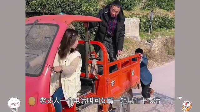 索图:老丈人叫城里女婿帮忙干农活,被网友赞为最勤劳的女婿