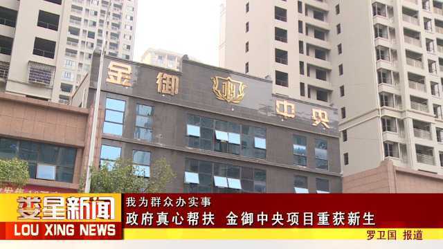 我为群众办实事 政府真心帮扶 金御中央项目重获新生