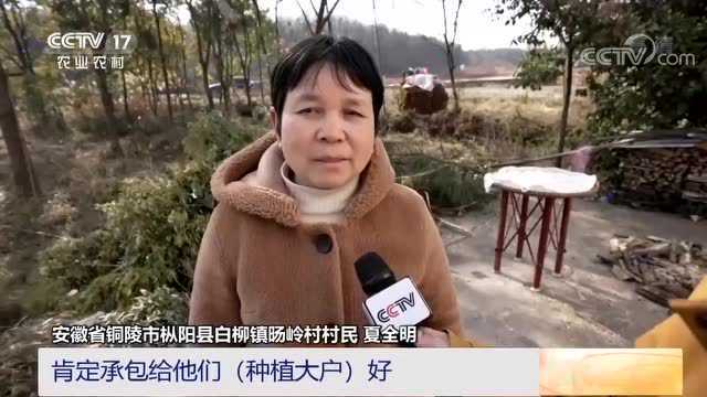 外媒看枞阳 | 央视聚焦!5分钟!因为枞阳这件事……