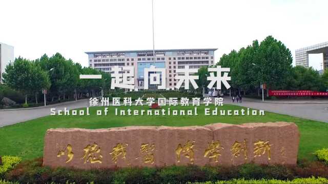 一起向未来徐州医科大学留学生盛赞北京冬奥会