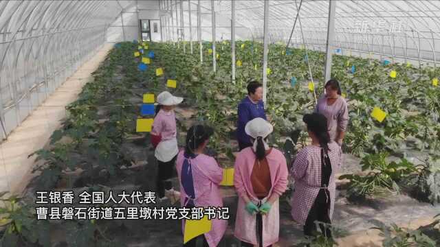 全国人大代表王银香:让两会精神在新农村开花结果