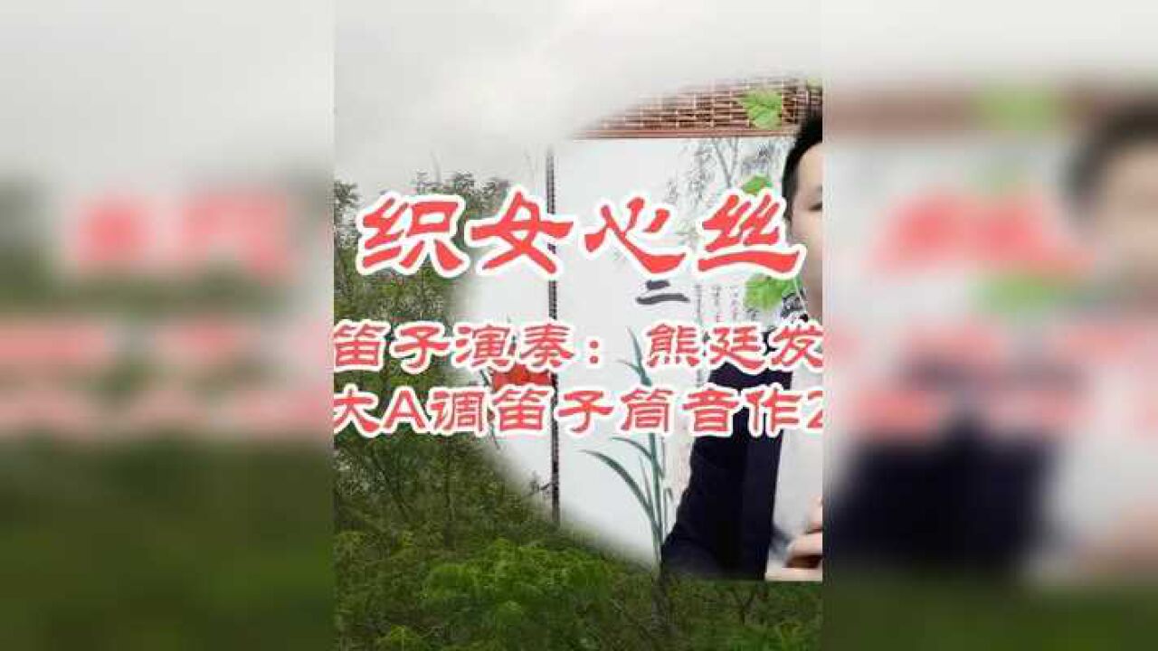 笛子演奏《织女心丝》,愿把思念化成笛,永远伴在你身边 #竹笛