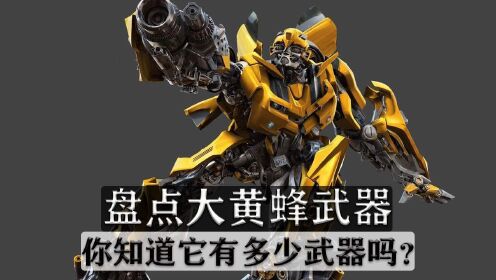 盘点大黄蜂装备,你知道它有多少把武器吗?
