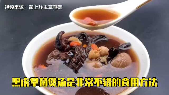 菌盖犹如老虎皮毛纹路一样的蘑菇:黑虎掌菌