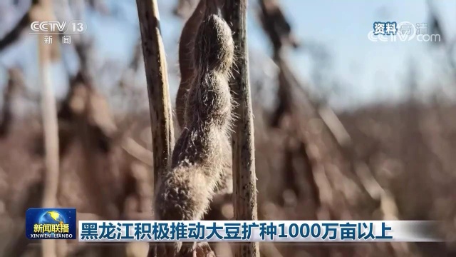 黑龙江积极推动大豆扩种1000万亩以上