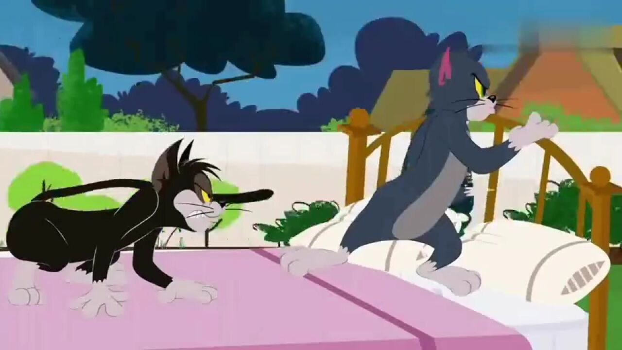 汤姆和布奇终于硬气一次了,打败了狗大哥