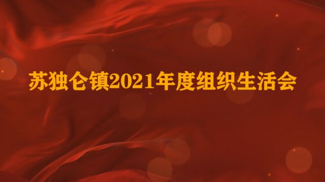 苏独仑镇各党支部2021年度组织生活会