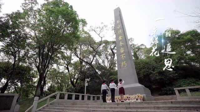 【公益广告】倡导文明祭祀 守护绿水青山