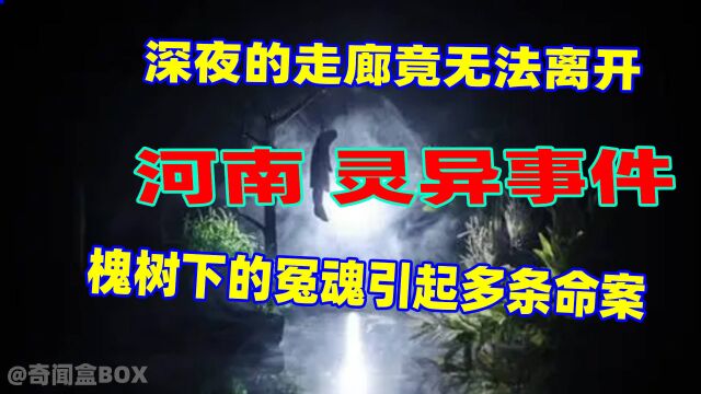 河南灵异传说:槐树下的冤魂引发多条命案?深夜的走廊无法离开? 30/30