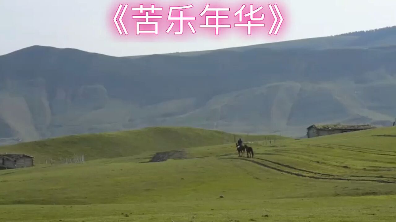 范琳琳经典歌曲《苦乐年华》有多少人还记得那个年代