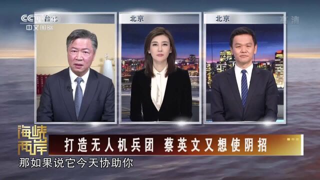 赖岳谦:美国不支持台湾自造无人机 只想卖给台湾