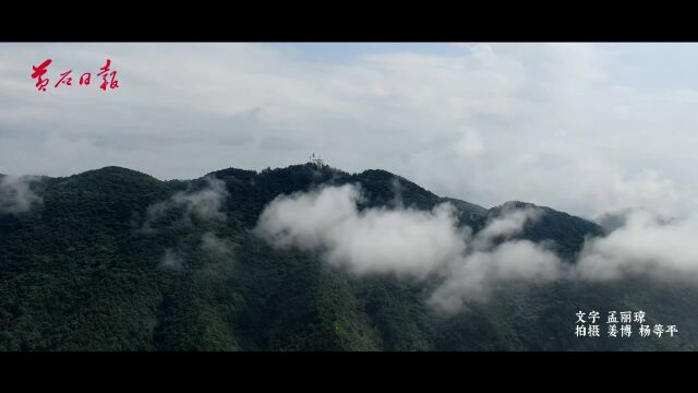 “醉美黄石”仙岛湖