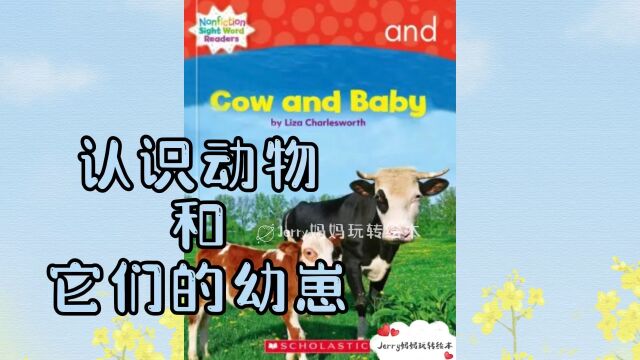 亲子阅读|英语绘本磨耳朵Cow and Baby