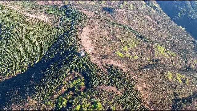 浙山浙水浙江 | 百山祖国家公园ⷧ™𞥱𑤹‹祖