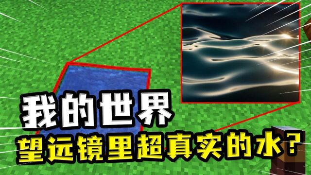 我的世界:望远镜能看见超真实的水,抱着小黑能一起瞬移?