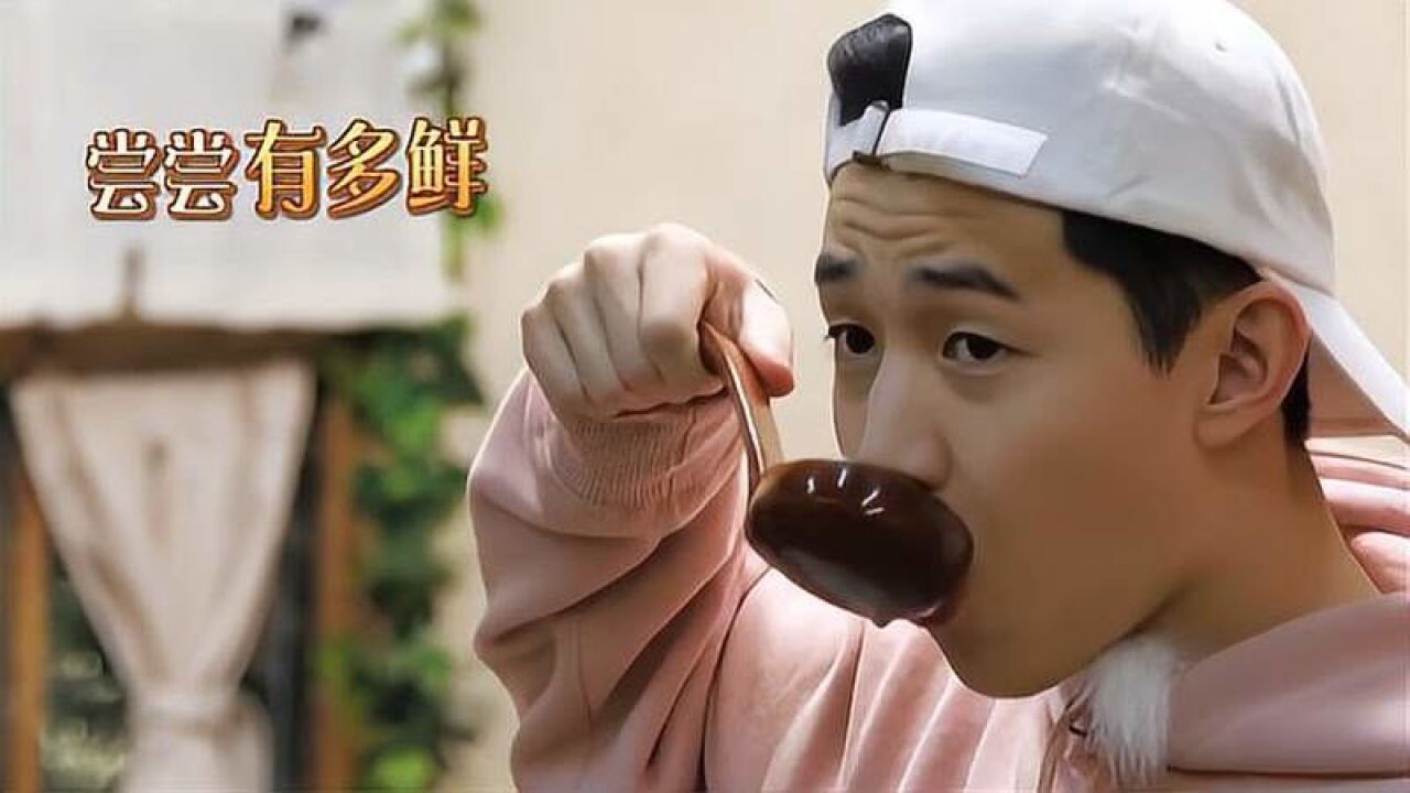 黄磊用豆芽萝卜熬素高汤,刘宪华一口下去太美味,再来一口