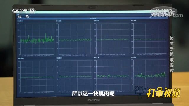 人手做不同动作时会用到不同的肌肉群,肌电信号也不同