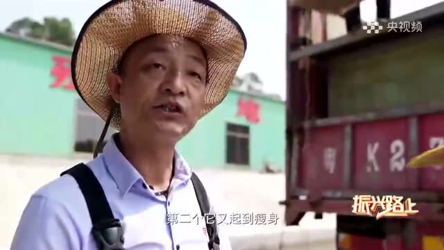 广东这条鱼,让世界另眼相看!联合国粮农组织都推荐养它!