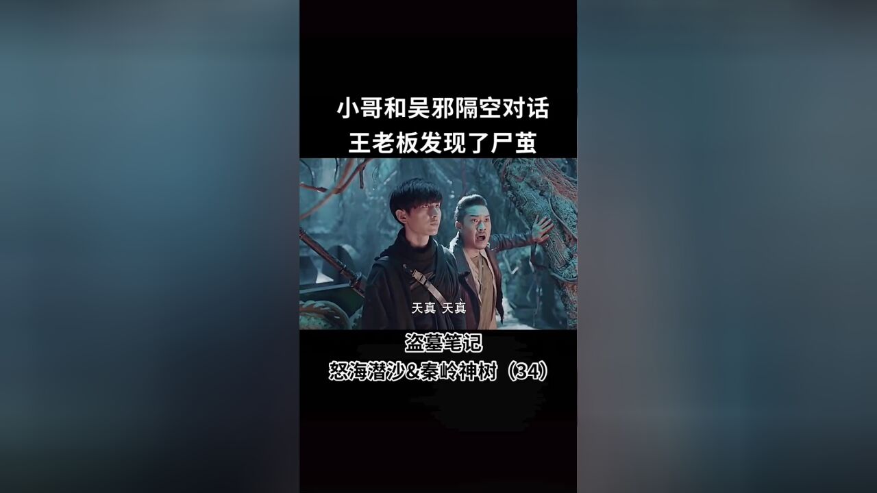 盗墓笔记 "怒海潜沙秦岭神树 "盗墓笔记之秦岭神树