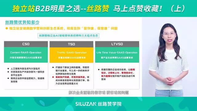 独立站B2B明星之选—丝路赞 马上点赞收藏!