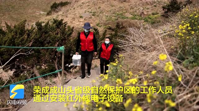 威海荣成市:多方守护 为鸟类营造良好栖息环境