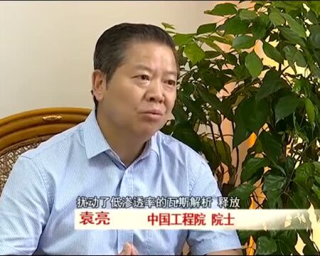 刚刚!中国高被引用学者,安理+1!