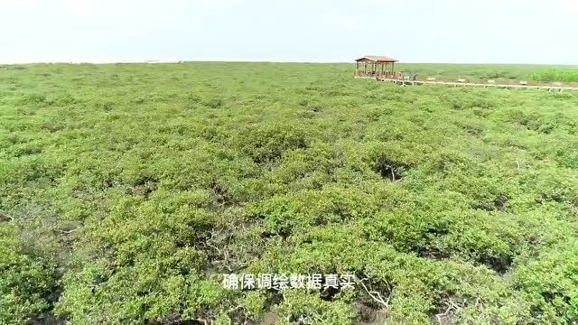 广西:攻坚克难摸清资源家底 踔厉笃行夯实发展根基