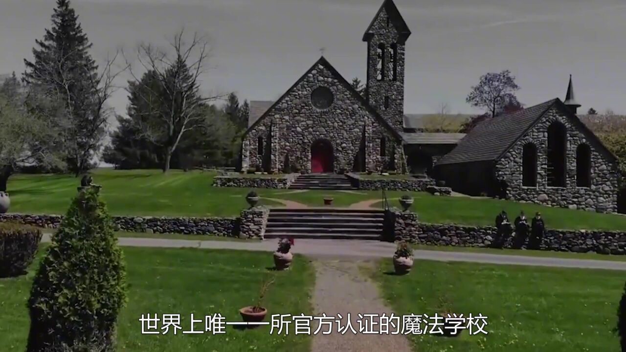 地球上唯一一所官方认证魔法学校,专门学习魔法,你想去吗?