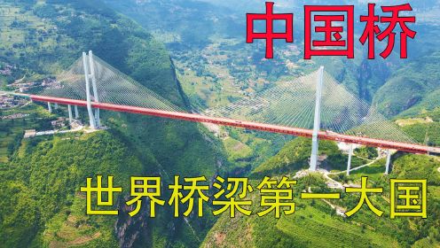 纪录片《超级工程》，我国是世界桥梁第一大国，桥梁每年增加一万座。