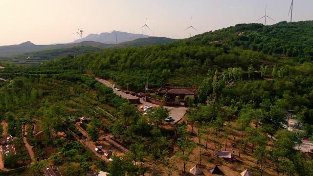 伊川建业绿色基地