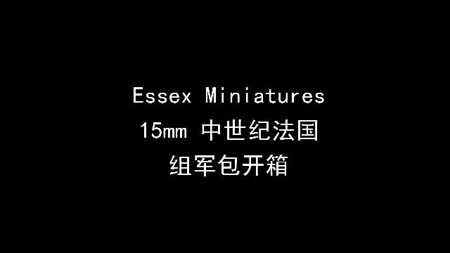 Essex 15mm历史战棋 中世纪法国组军包开箱简评