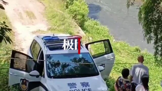 【视频】贵州一耕牛顶死主人被击毙,警方:死者被狗啃为谣言