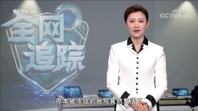 公安破获网络大案(上)