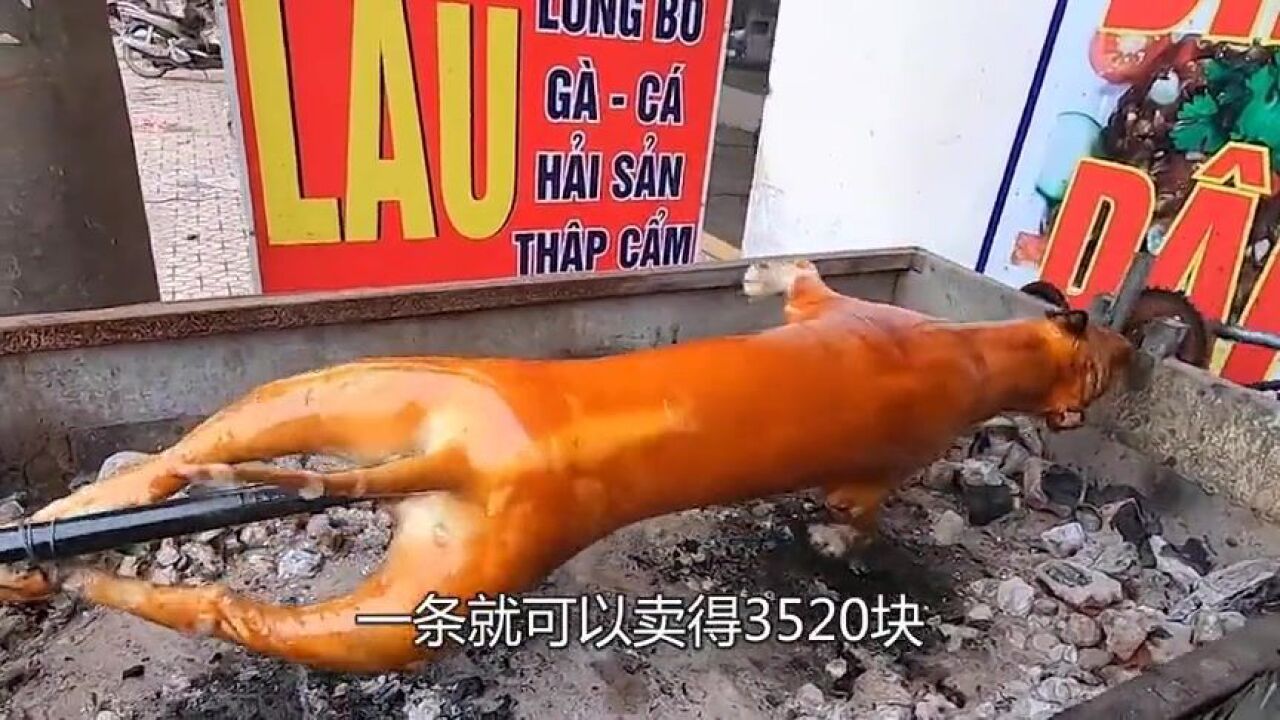 农村大叔卖"烤全狗",刚烤熟就被食客包围,88一斤,一条卖得3520块