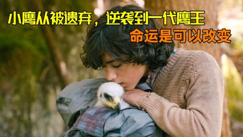 励志片：男孩捡到一只被遗弃的小鸡，长大后竟是一代鹰王！
