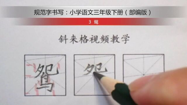 每日一字:3 鸳(三下)