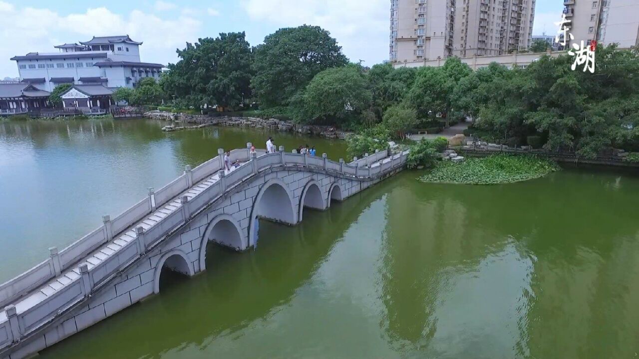 广西贵港市东湖公园,航拍下的漂亮风景