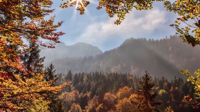 秋天金秋十月 秋分 中秋 深秋风景森林树林山川 (31)