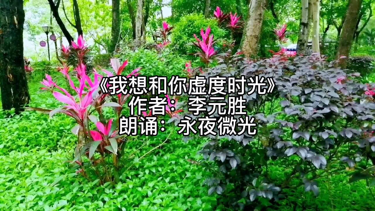 《我想和你虚度时光》想和你共度美好时光 朗诵:永夜微光