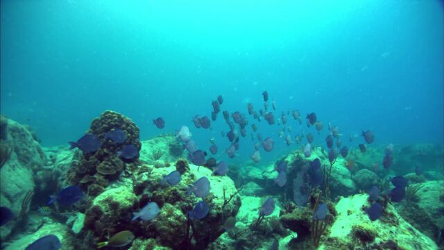 海底海浪深海高清素材 (3)