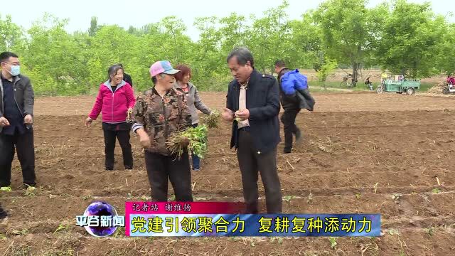 【农耕】党建引领聚合力 复耕复种添动力