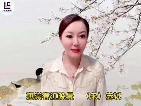 小伦敦素质课之口才篇——语为才情,言显心声