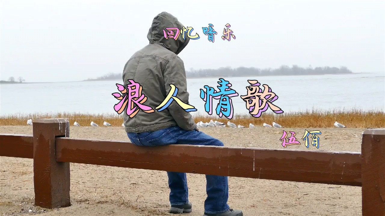 经典老歌怀旧音乐歌曲浪人情歌