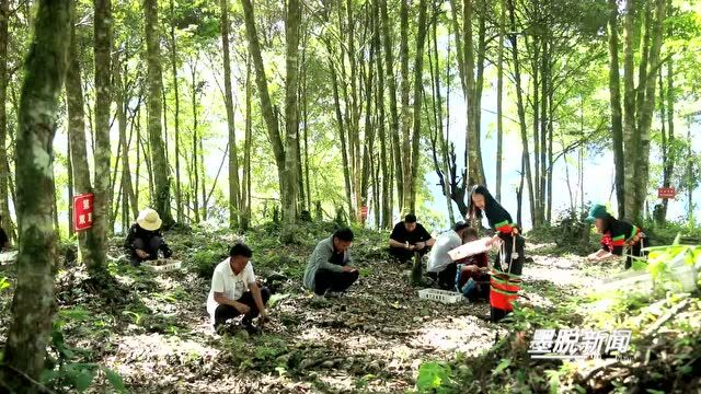 改作风 抓落实| 达木乡甩掉“四个尾巴”推进作风建设走深走实