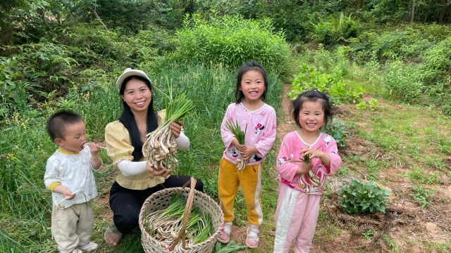 小秀带孩子去拔藠头,新鲜好吃的荞头,孩子们直呼很喜欢吃