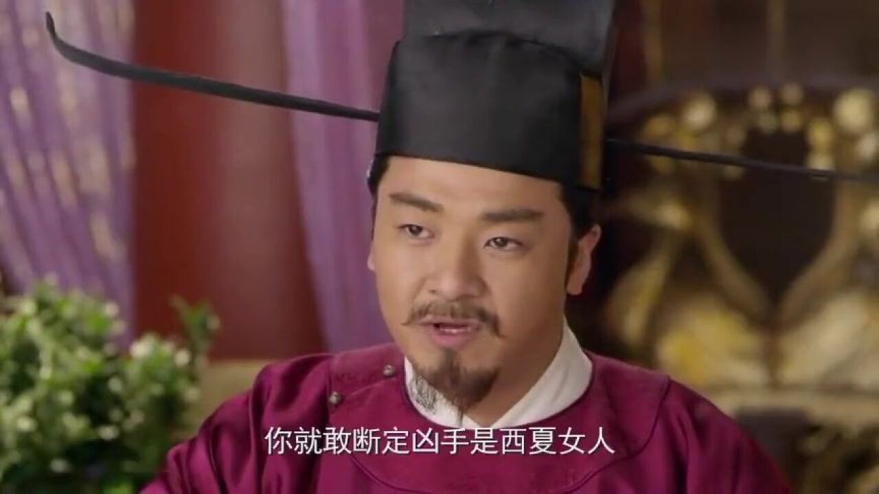 开封府:刘复和包拯来到宫中面见太后,想找姐姐帮忙