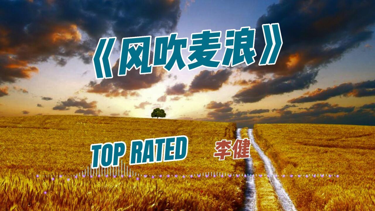 经典中文歌曲《风吹麦浪》李健_高清1080P在线观看平台_腾讯视频